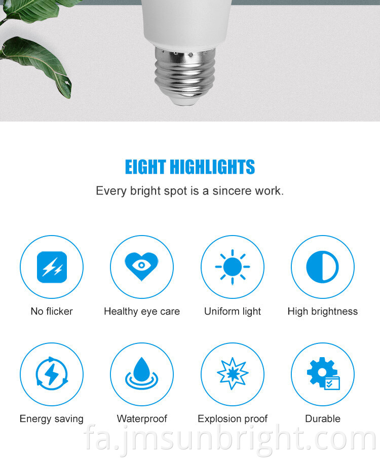 A series LED constant current Bulb